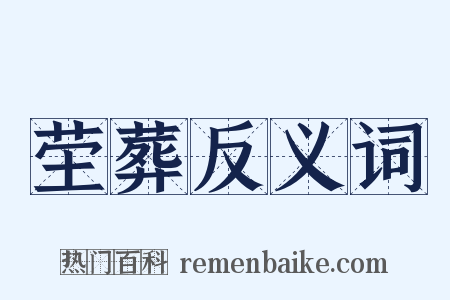 茔葬反义词是什么意思的图片
